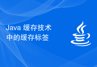 Java 快取技術中的快取標籤