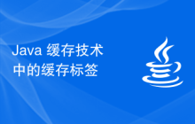 Java 緩存技術中的緩存標簽