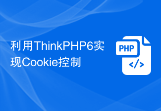 利用ThinkPHP6实现Cookie控制