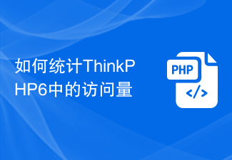 如何统计ThinkPHP6中的访问量