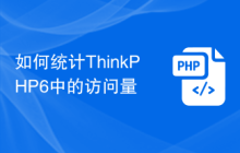 如何统计ThinkPHP6中的访问量