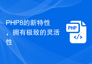 究極の柔軟性を備えた PHP8 の新機能