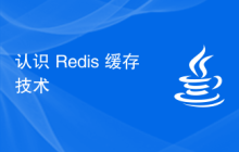 認識 Redis 緩存技術
