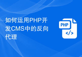 如何运用PHP开发CMS中的反向代理