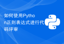 如何使用Python正则表达式进行代码评审