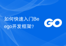 如何快速入门Beego开发框架？