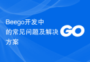Beego开发中的常见问题及解决方案