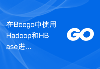 Using Hadoop and HBase in Beego for big data storage and querying