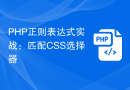 PHP正则表达式实战：匹配CSS选择器