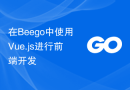 在Beego中使用Vue.js进行前端开发