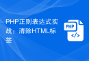 PHP正则表达式实战：清除HTML标签