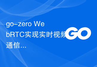 go-zero+WebRTC merealisasikan komunikasi video masa nyata