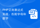 PHP正则表达式实战：匹配字母和数字