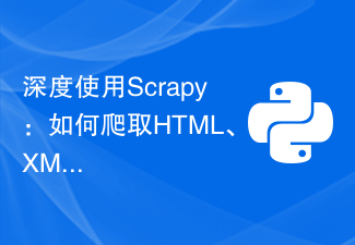 Ausführlicher Einsatz von Scrapy: Wie crawlt man HTML-, XML- und JSON-Daten?