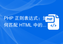 PHP 正则表达式：如何匹配 HTML 中的所有 JavaScript 代码
