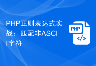 PHP正则表达式实战：匹配非ASCII字符