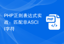 PHP正则表达式实战：匹配非ASCII字符
