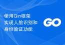 使用Gin框架实现人脸识别和身份验证功能
