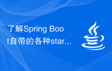 了解Spring Boot自带的各种starter和自定义starter的编写技巧