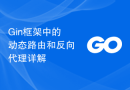 Gin框架中的动态路由和反向代理详解