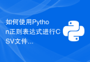 如何使用Python正则表达式进行CSV文件处理