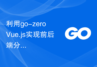 Gunakan go-zero+Vue.js untuk melaksanakan reka bentuk perkhidmatan API dipisahkan bahagian hadapan dan belakang