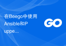 在Beego中使用Ansible和Puppet进行自动化配置和管理