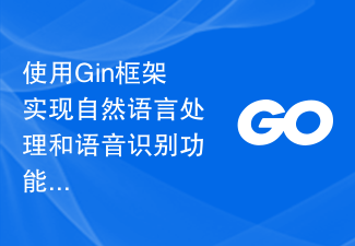 使用Gin框架實現自然語言處理與語音辨識功能