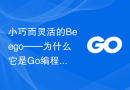 小巧而灵活的Beego——为什么它是Go编程的最佳选择