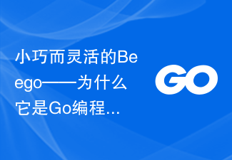 Beego is small and flexible – why it's the best choice for Go programming