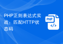 PHP正则表达式实战：匹配HTTP状态码