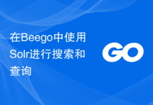在Beego中使用Solr进行搜索和查询