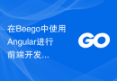 在Beego中使用Angular进行前端开发