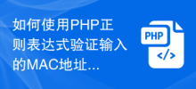 PHP 正規表現を使用して入力 MAC アドレス形式を検証する方法