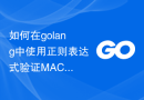 如何在golang中使用正则表达式验证MAC地址