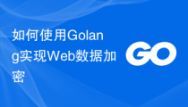 如何使用Golang实现Web数据加密