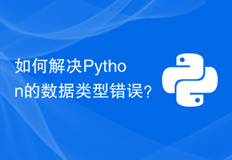 Comment résoudre l'erreur de type de données de Python ?