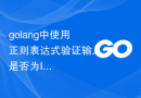 golang中使用正则表达式验证输入是否为IPv4或IPv6地址