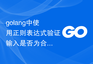 golang中使用正規表示式驗證輸入是否為合法的車牌號碼