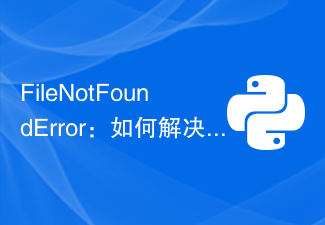 FileNotFoundError: Python ファイルが見つからないエラーを解決するにはどうすればよいですか?