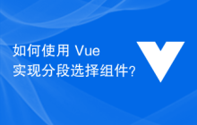 如何使用 Vue 实现分段选择组件？