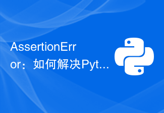 AssertionError: Python 어설션 오류를 해결하는 방법은 무엇입니까?