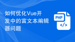 Vue 개발에서 서식 있는 텍스트 편집기 문제를 최적화하는 방법