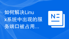 How to solve the problem of service port being occupied in Linux system