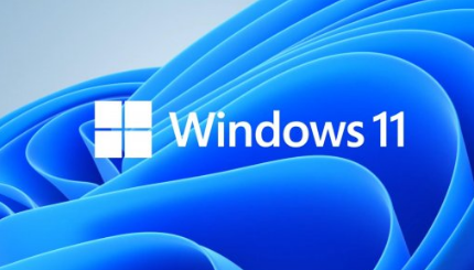 Pourquoi ne puis-je pas arrêter Win11 ?