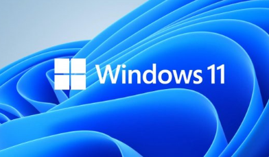 Where to view Win11 software rights management