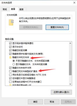 Win10 Professional Edition のシステム フォルダー オプションを表示する場所