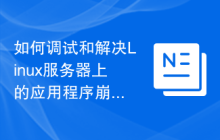 如何调试和解决Linux服务器上的应用程序崩溃问题