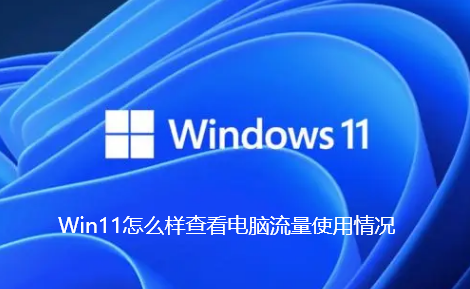 Win11怎麼樣查看電腦流量使用情形