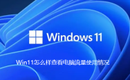Win11怎么样查看电脑流量使用情况
